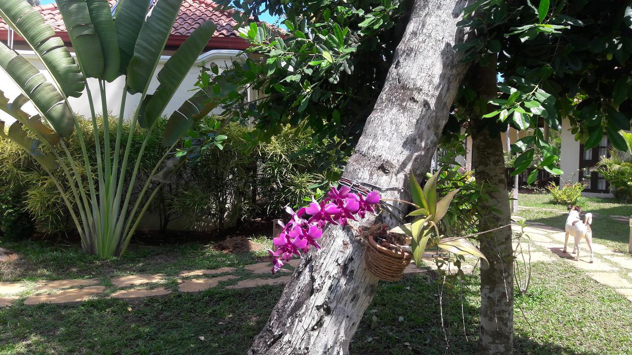 Lanka Beach Grand Villa Rekawa Luaran gambar